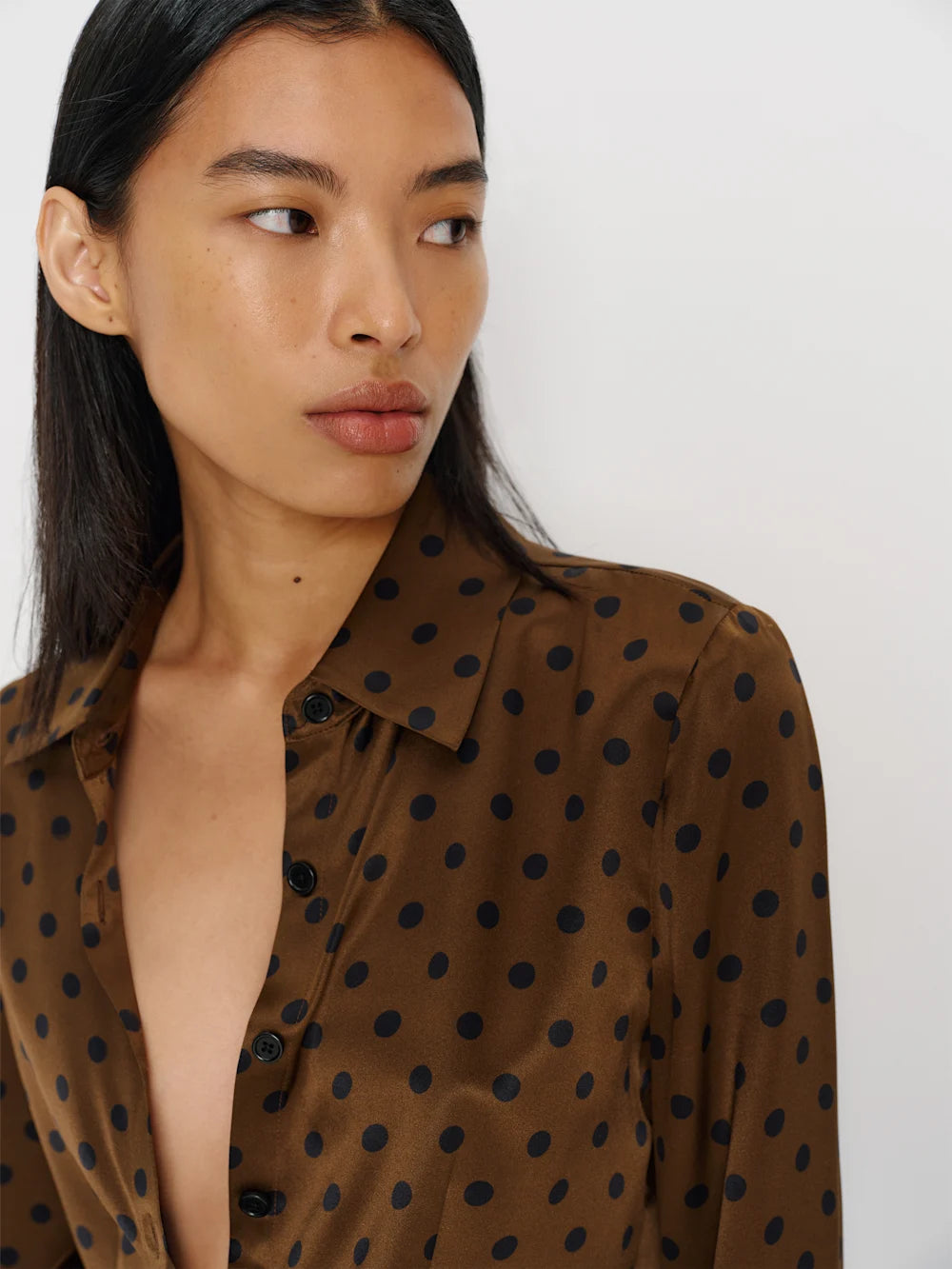 Dotted Brown Silk Shirt